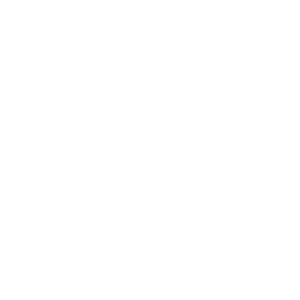 logo 1254 blanc alpha